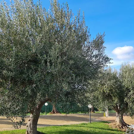 Trullo Malvischi *